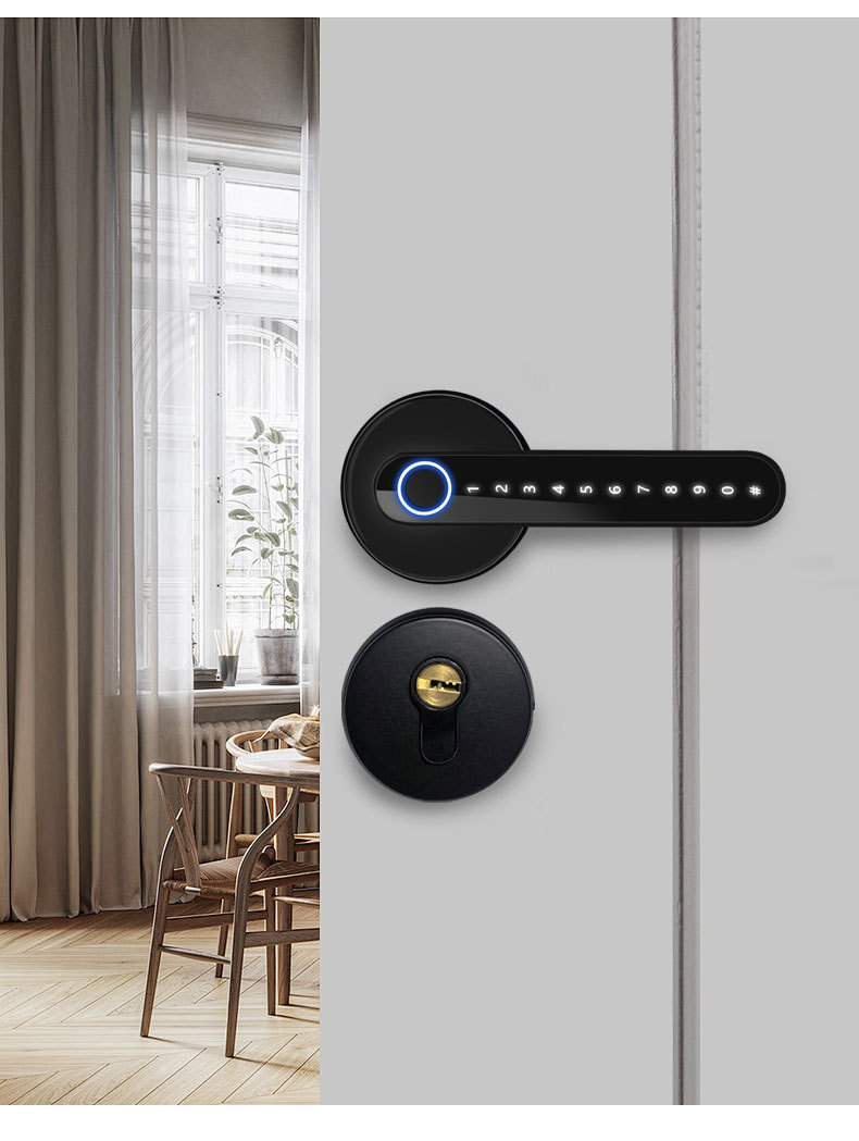 Black fingerprint lever and separate key cylinder on an interior door