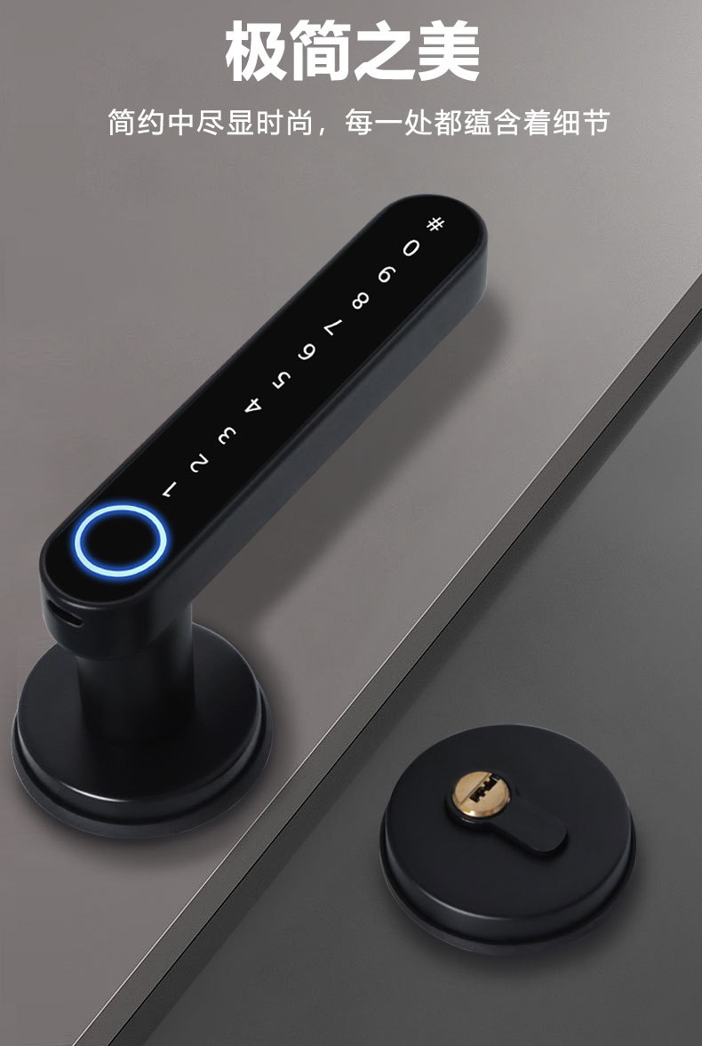 Close-up of the fingerprint ring, keypad and separate key cylinder